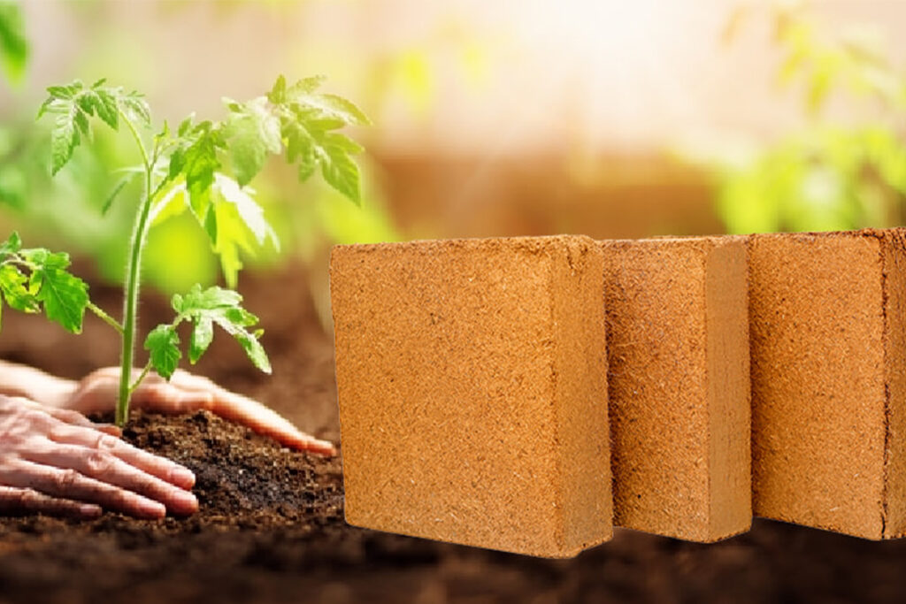 Coco-Peat-Brick-Exporters-In-India