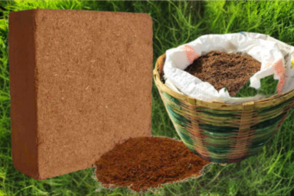 cocopeat-blocks-1