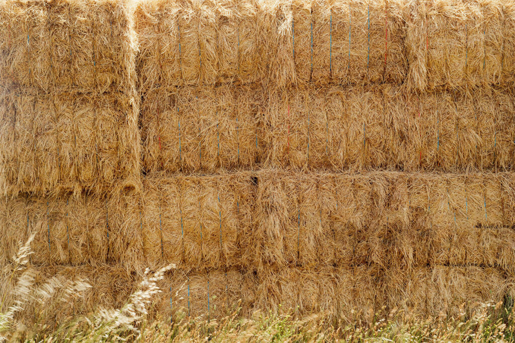 istockphoto-1197783131-2048x2048