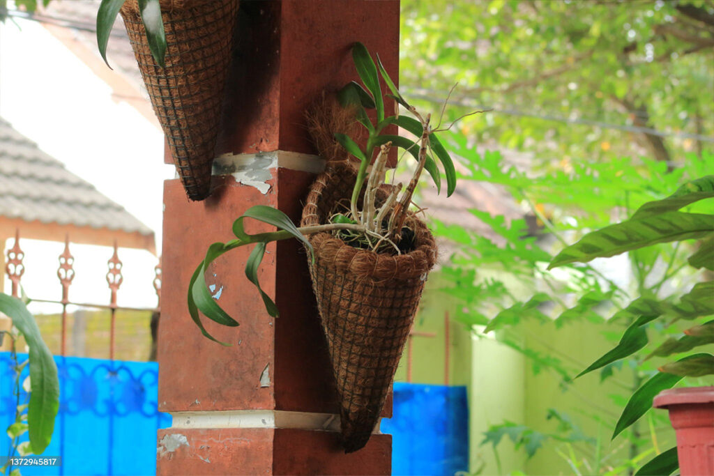 istockphoto-1372945817-2048x2048