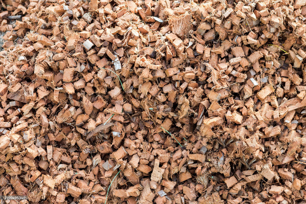 istockphoto-2190495340-2048x2048