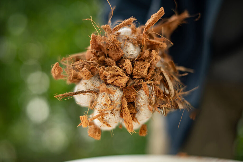 istockphoto-2241027868-2048x2048